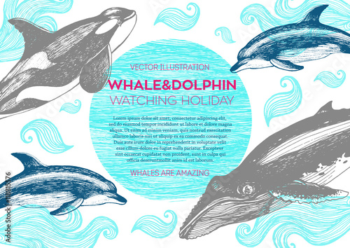 Nautical vector illustration drawn in ink. Whales, dolphin and grampus on the waves. Sea design template. Whales, dolphin and grampus watching holiday.