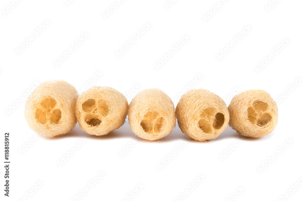 Dry Luffa, luffa sponge on white background, isolated on white b Dry Luffa, luffa sponge on white background, isolated on white b