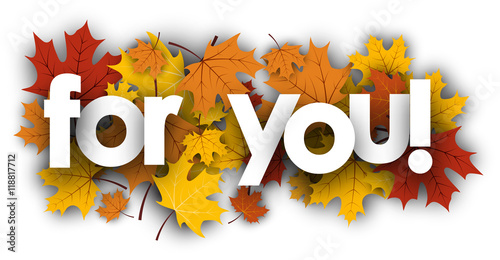 For you background with maple leaves.