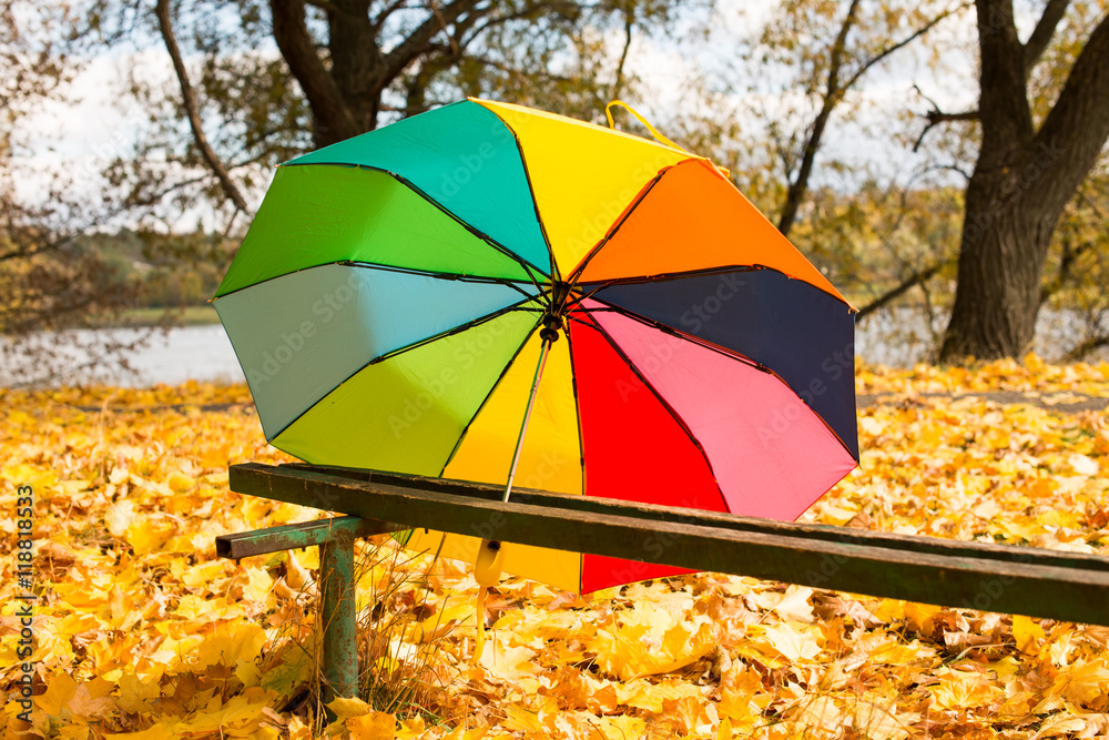 Colorful umbrella lying on yellow leafs