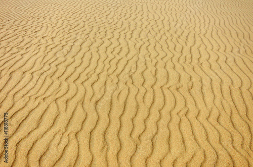 Abstract sand background