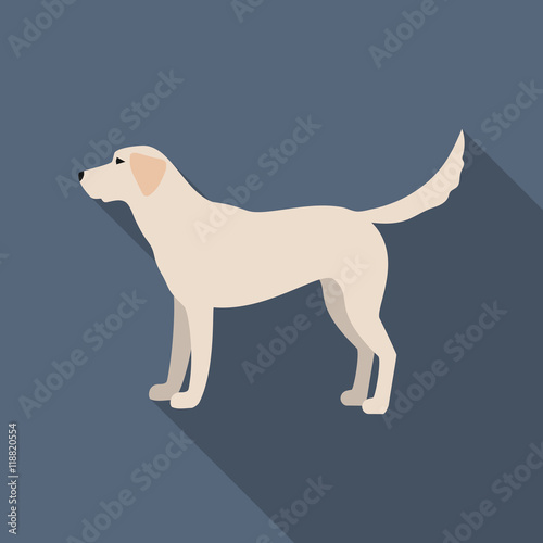 Labrador vector icon in flat style for web