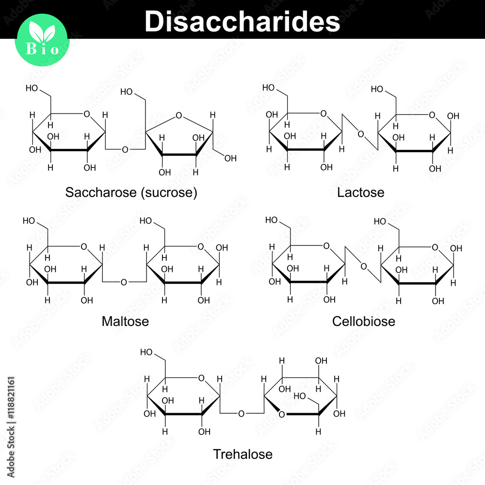 Chemical structures of main disaccharides Chemical structures of main disaccharides