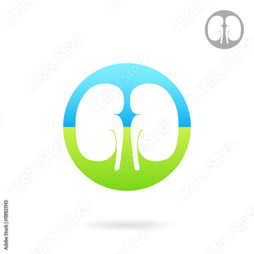 Kidney medical icon