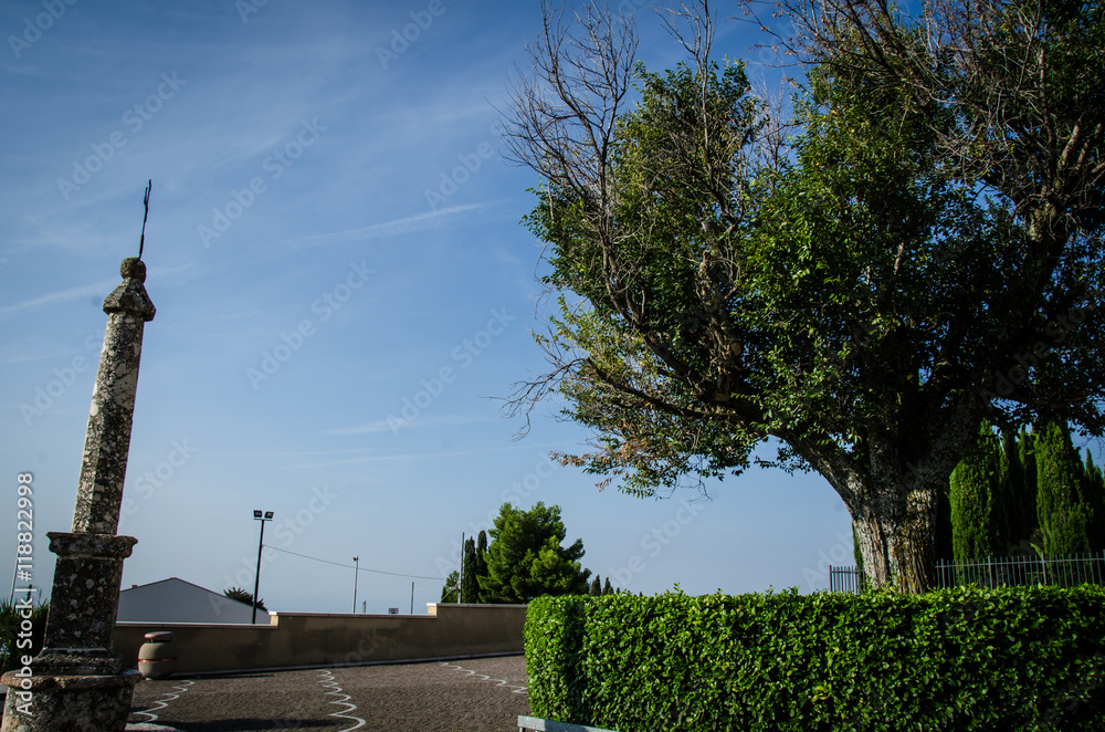 Obraz premium Giardino di Cipressi