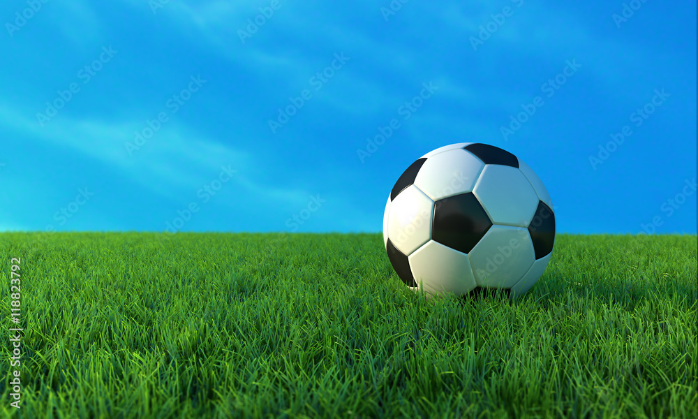 Fototapeta premium Soccer ball on green grass .3D illustration.