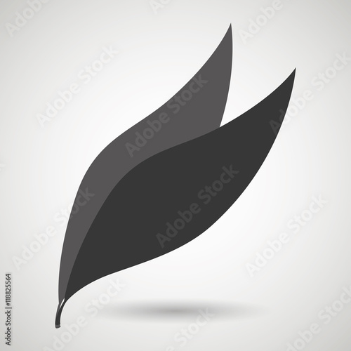 leaf plant natural sheet vector illustration design © Gstudio