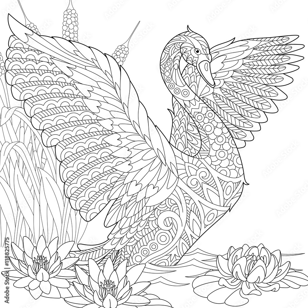 Fototapeta premium Stylized beautiful swan among water lilies (lotus flowers) and reed grass. Freehand sketch for adult anti stress coloring book page with doodle and zentangle elements.