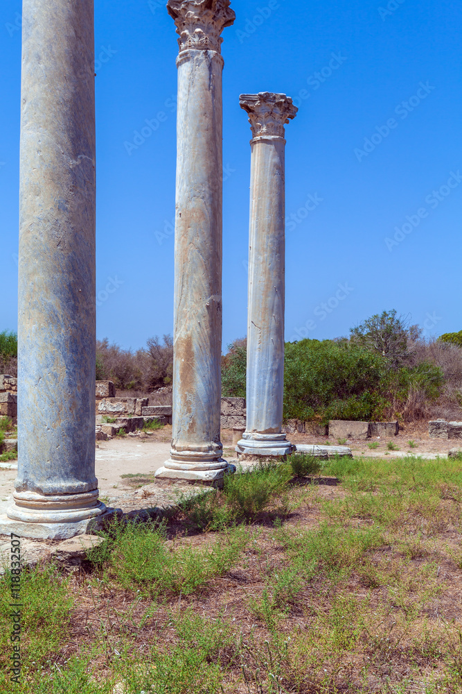 Fototapeta premium Ruins of Salamis near Famagusta.