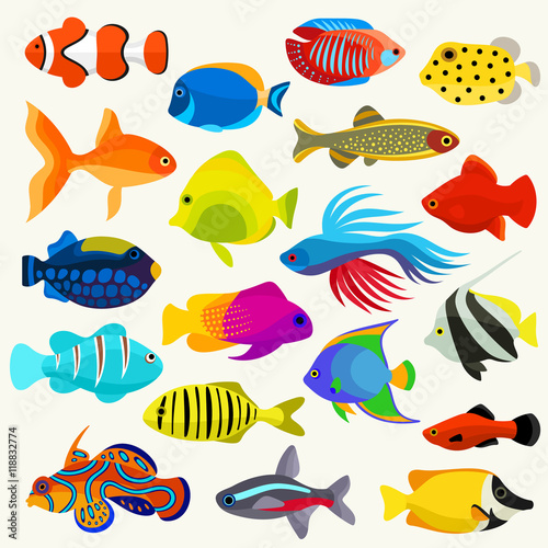 Fish Vector Set