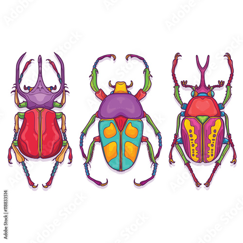 Vector Illustration of Insects Colorful Hand Drawn. Set of 3 Beetle Bugs Top View
