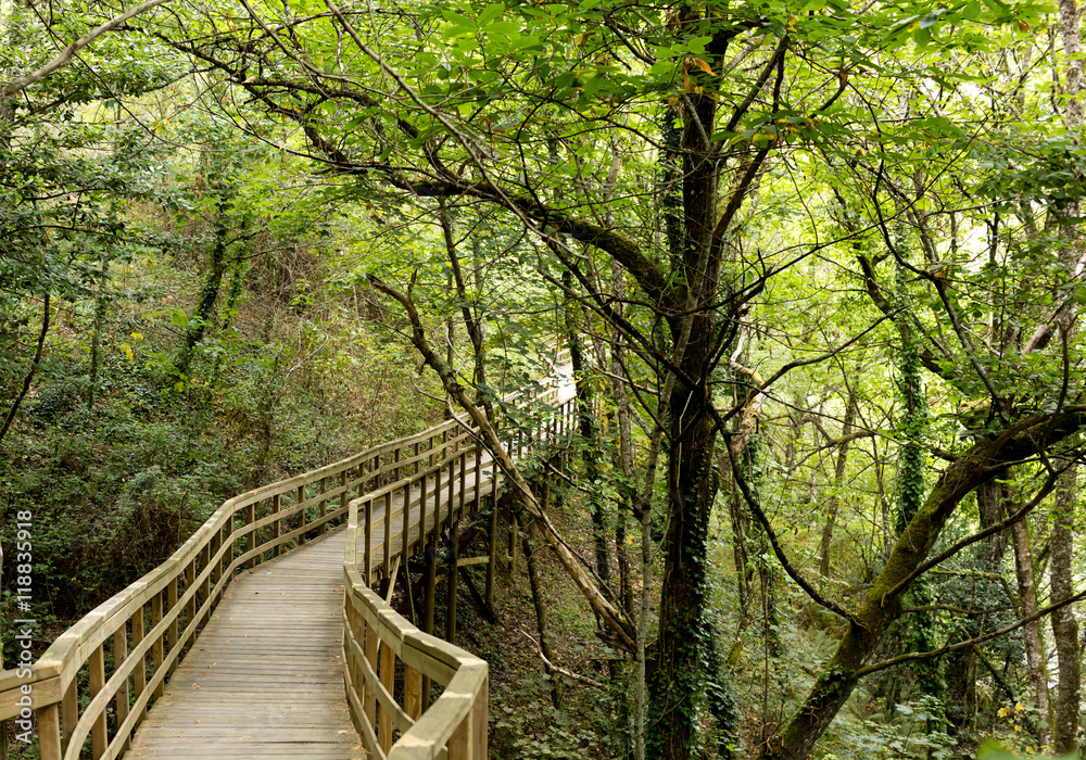 Fototapeta premium wooden bridge