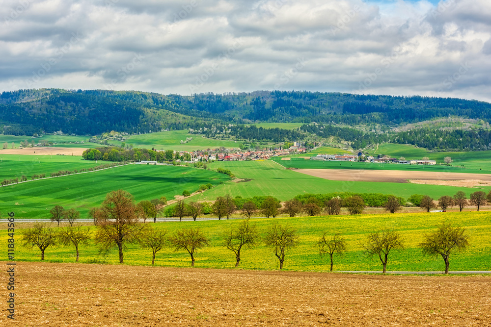 Colorful nature agricultural background - landscape with fields, forests and sky