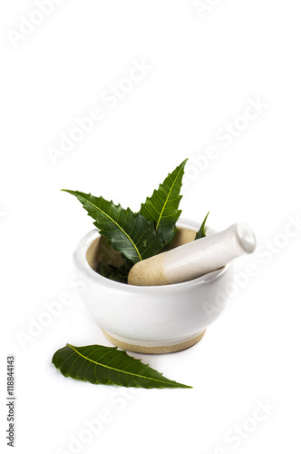 Mortar and pestle with medicinal neem leaves with twigs on white background