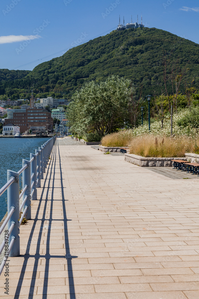 Fototapeta premium 緑の島から見る函館山