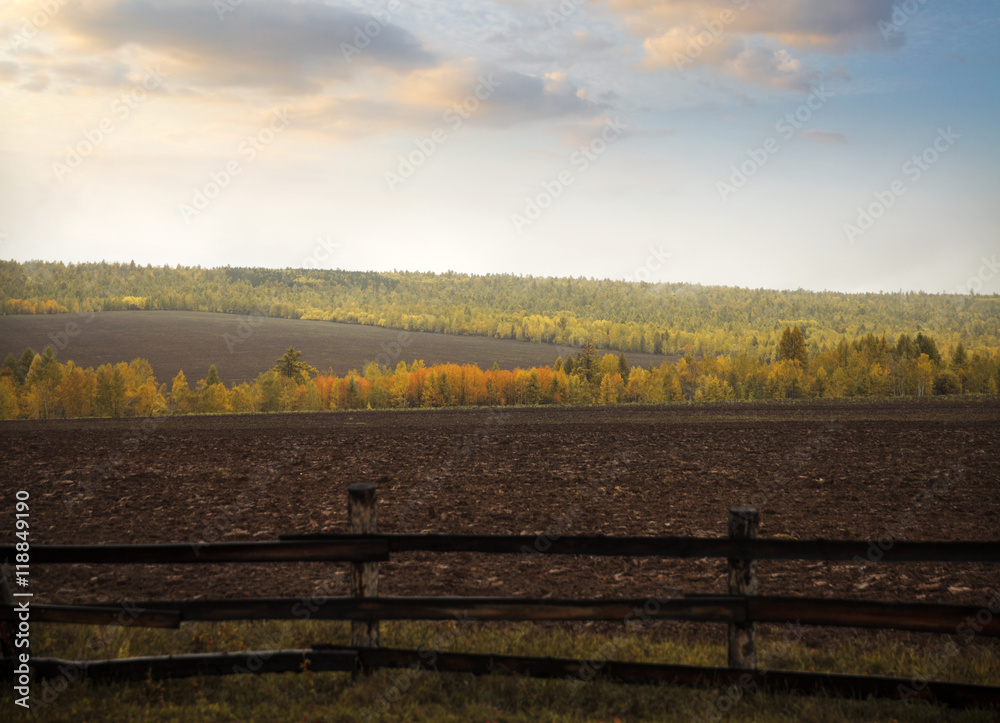 Obraz premium autumn.