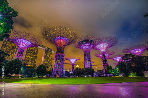 Supertree Park is landmark at night, Singapore.