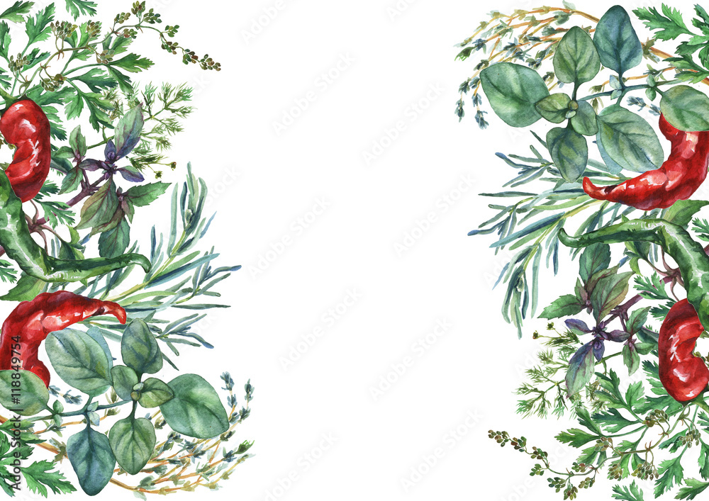 Fototapeta premium Watercolor herbs and spices frame. Hand painted food objects: basil, rosemary, parsley, oregano, thyme, dill, knot-grass, green and red pepper on white background.