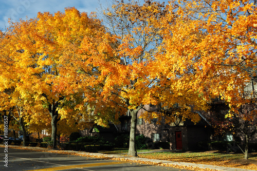 residential district in autumn color