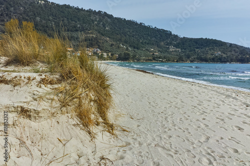 Fototapeta Naklejka Na Ścianę i Meble -  Panoramic view of Golden beach, Thassos island, East Macedonia and Thrace, Greece 