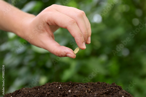 Woman hand with seed in garden