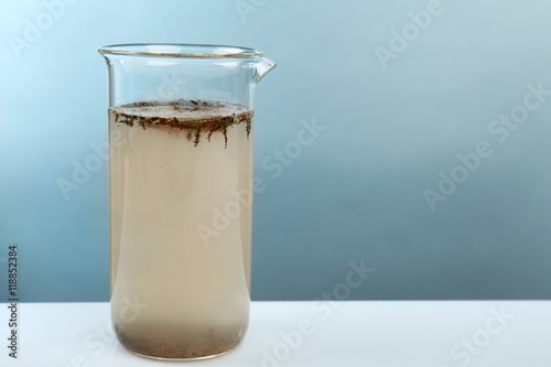 Glass of contaminated water on light blue background
