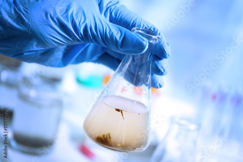 Εκτύπωση καμβά Hand in glove holding flask with contaminated water in laboratory closeup