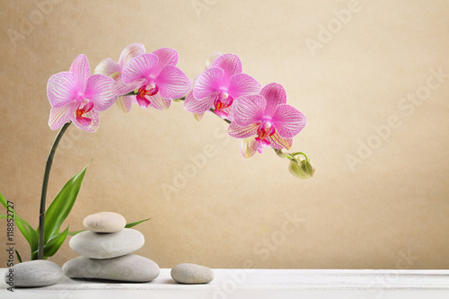 Orchid flowers and spa stones