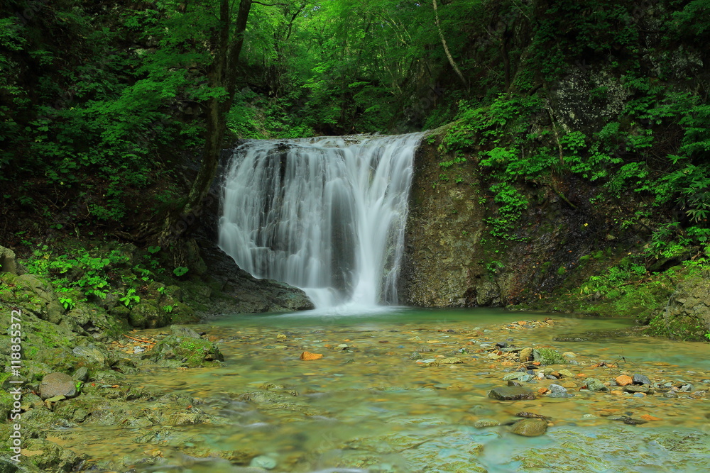 Obraz premium 岩手県 夏の幣掛けの滝