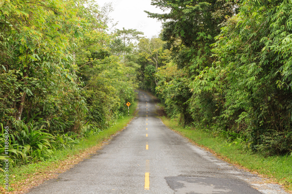 Empty road