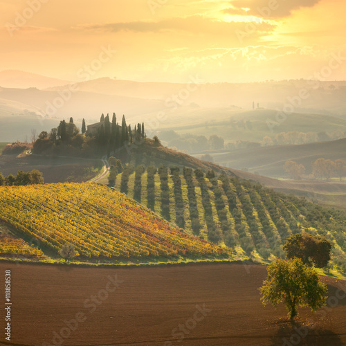 Beautiful rural landscape - Tuscany, Italy