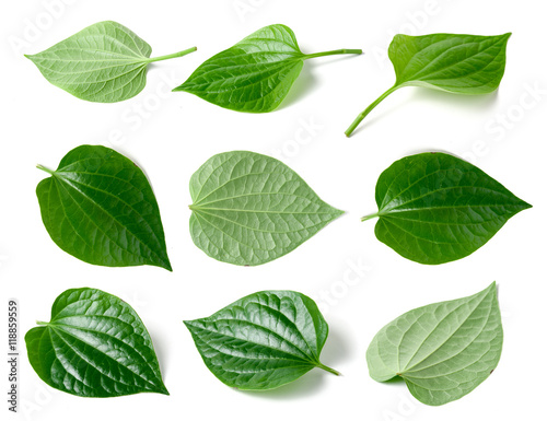 Fotografie Green betel leaf heart shape isolated on white