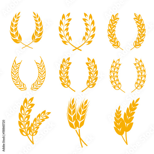 Rye wheat ears wreaths vector elements for bread and beer labels, logos