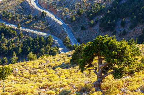 New curvy road near Chora Sfakion town on Crete, Greece © dziewul