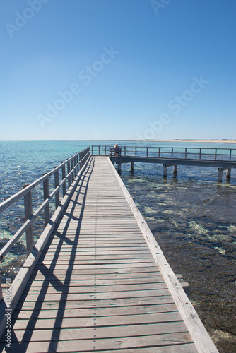 Woman Stromatolites Shark Bay Australia © roboriginal