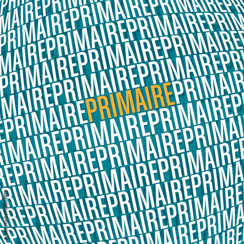 affiche,primaire-politique