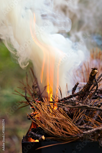 Bonfire, Burning branches, macor fire and smoke, close-up photo