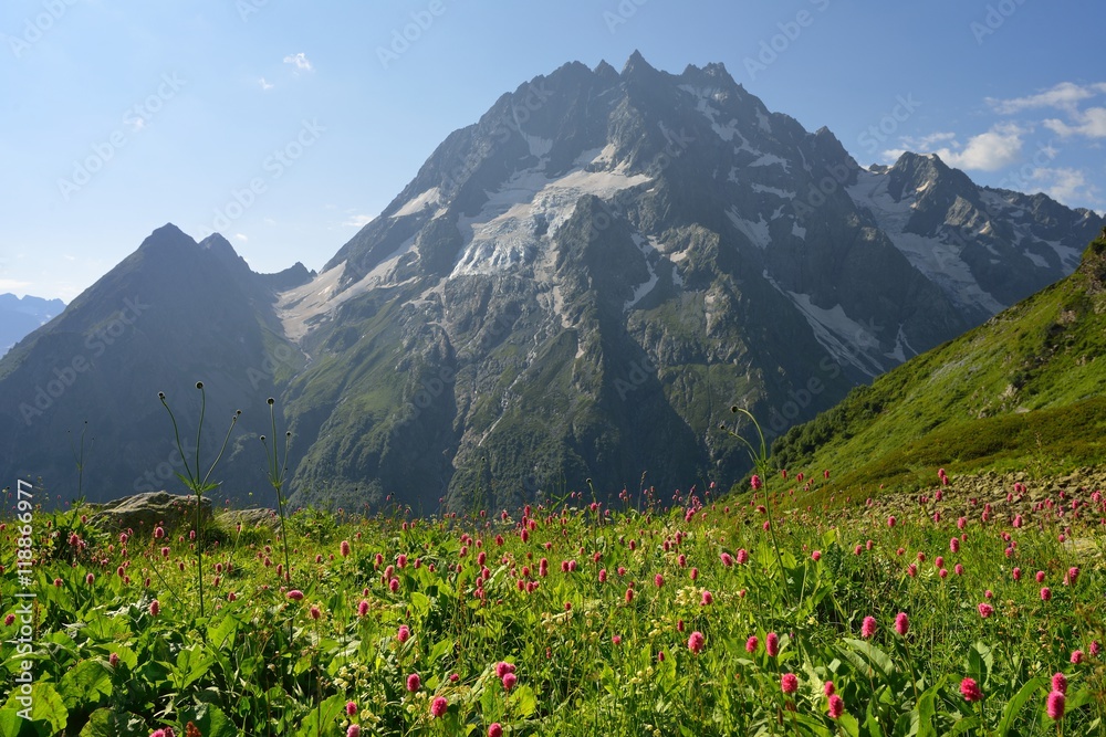View in Caucasus