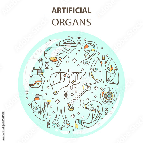 Thin line icons - artificial organs 13