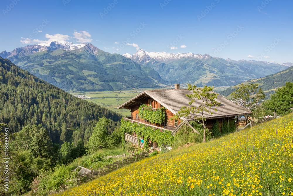 Alpine summer landscape in the alps with mountains and wooden hut
