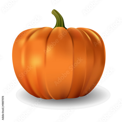 Vector pumpkin.