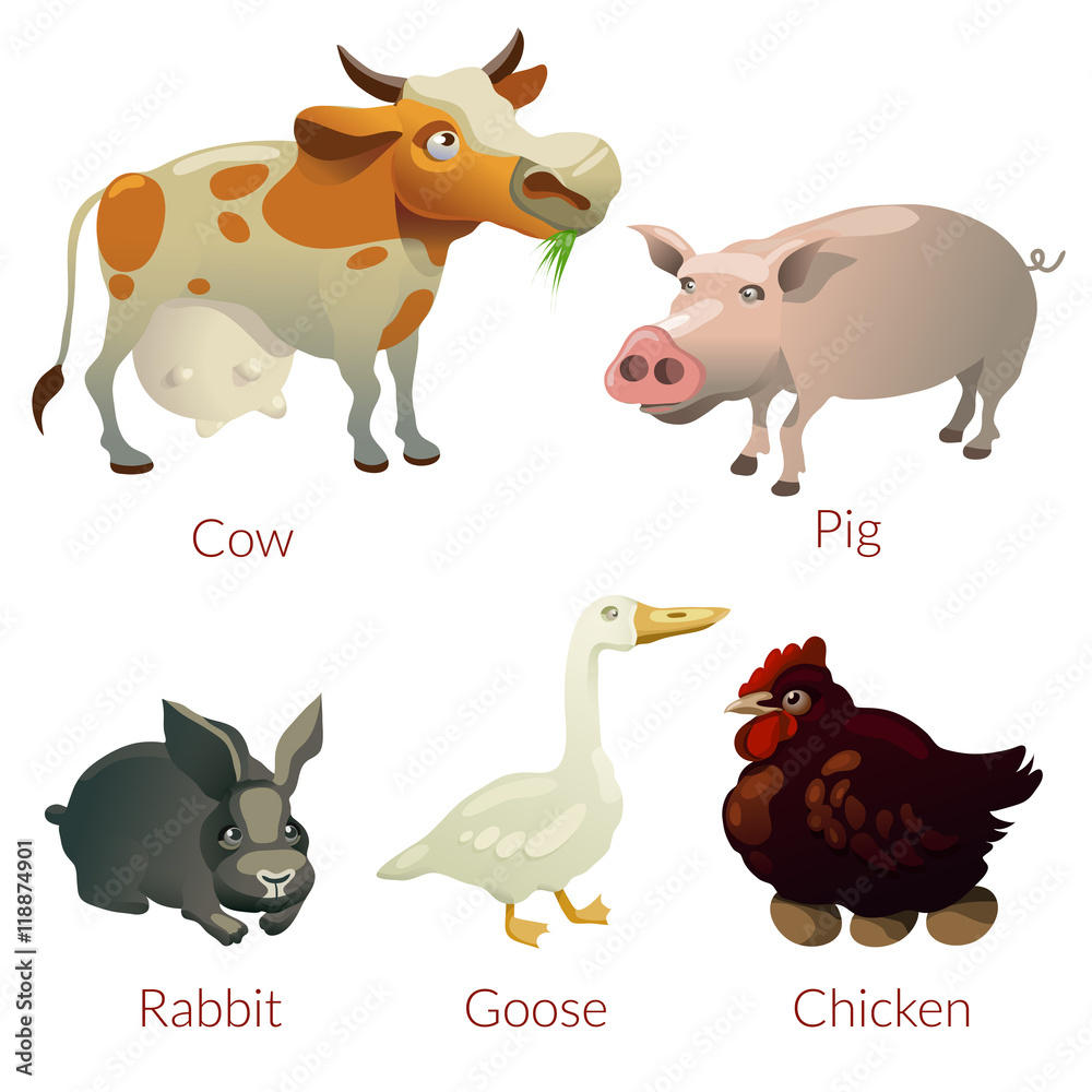 farm animal color text