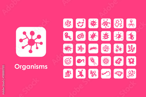 Set of organisms simple icons