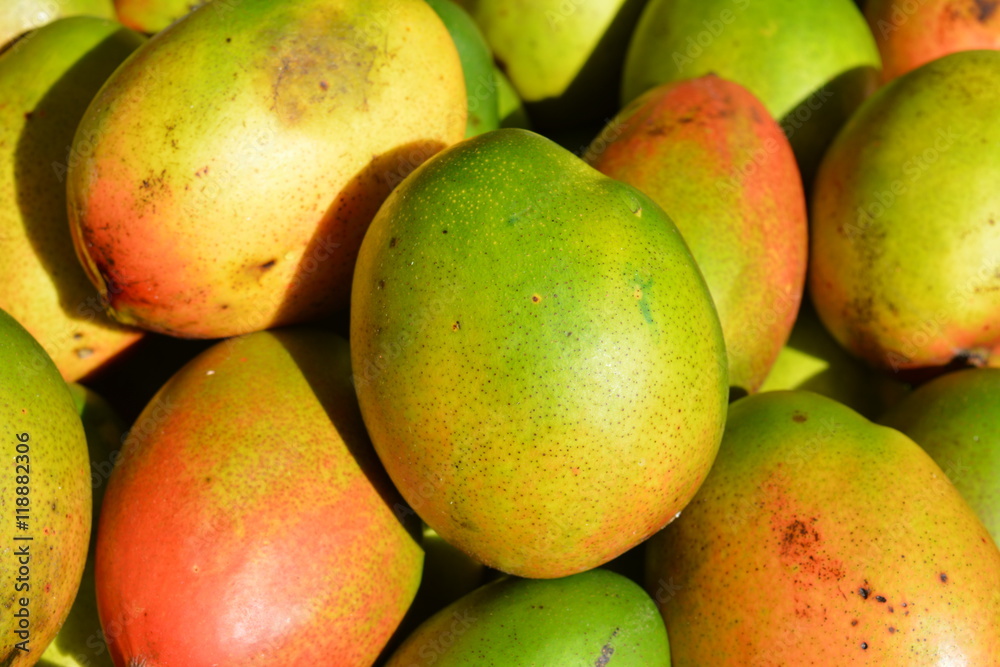Mango Früchte