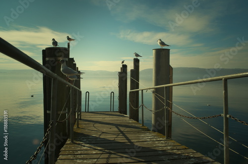 Eine Landungsbrücke am Ufer des Bodensees