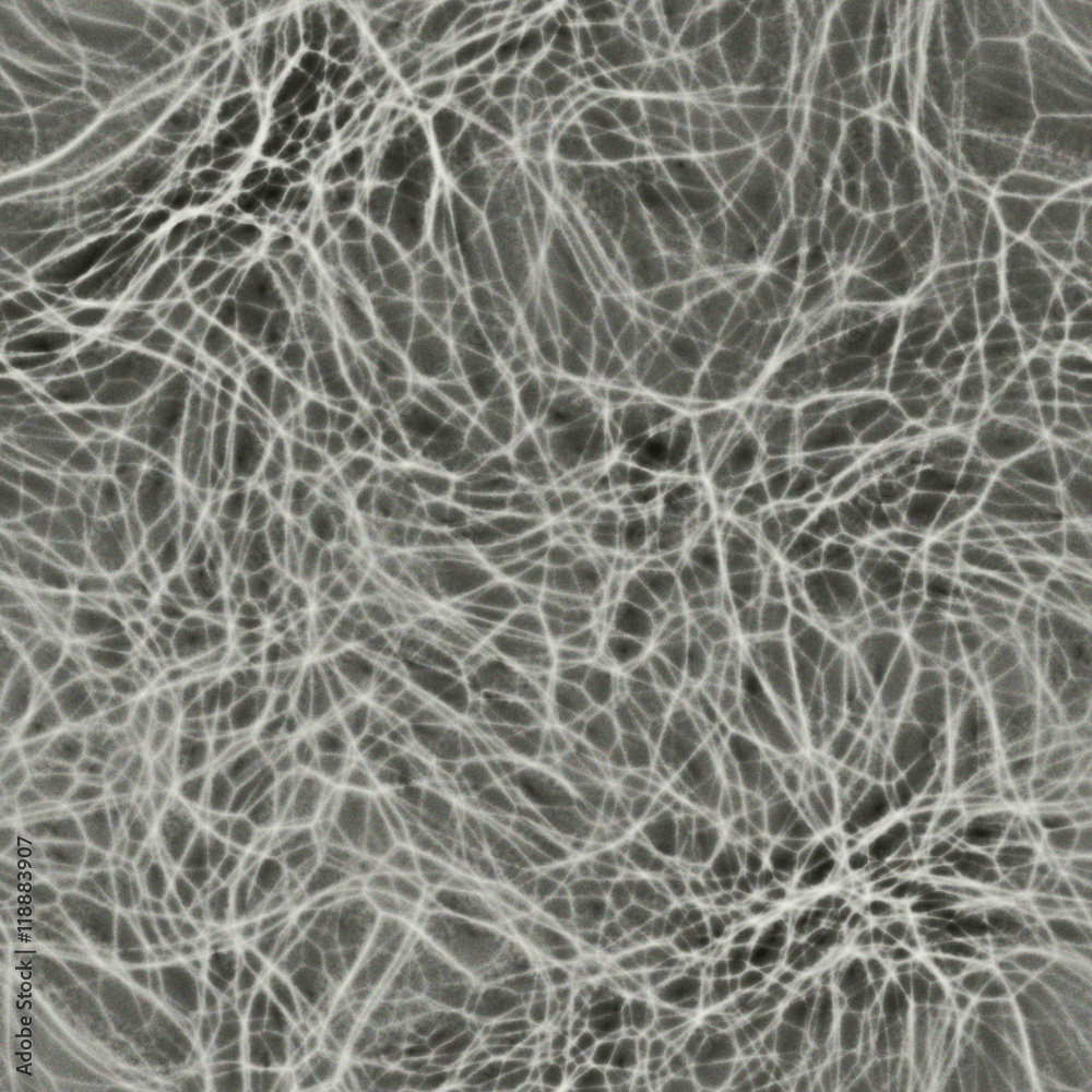 Human neurons in brain seamless 3d rendering Human neurons in brain seamless 3d rendering