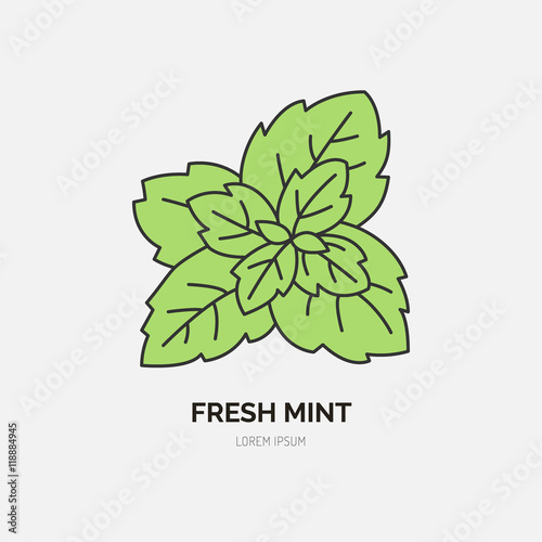 Modern vector flat icon of mint leaves. Fresh food logo. Flat symbol for peppermint gum. Freshness design element for site, mint emblem. Organic products business logotype, mint leaf illustration.