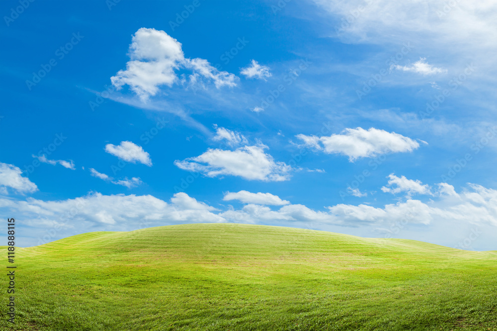 beautiful green field and blue sky background ,scenery for backg