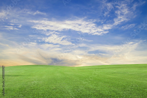 green grass field and blue sky scenery background.