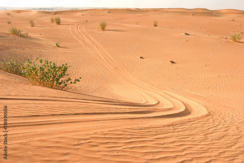 Naklejka premium Arabian Desert Sand Dune and Vehicle Tracks